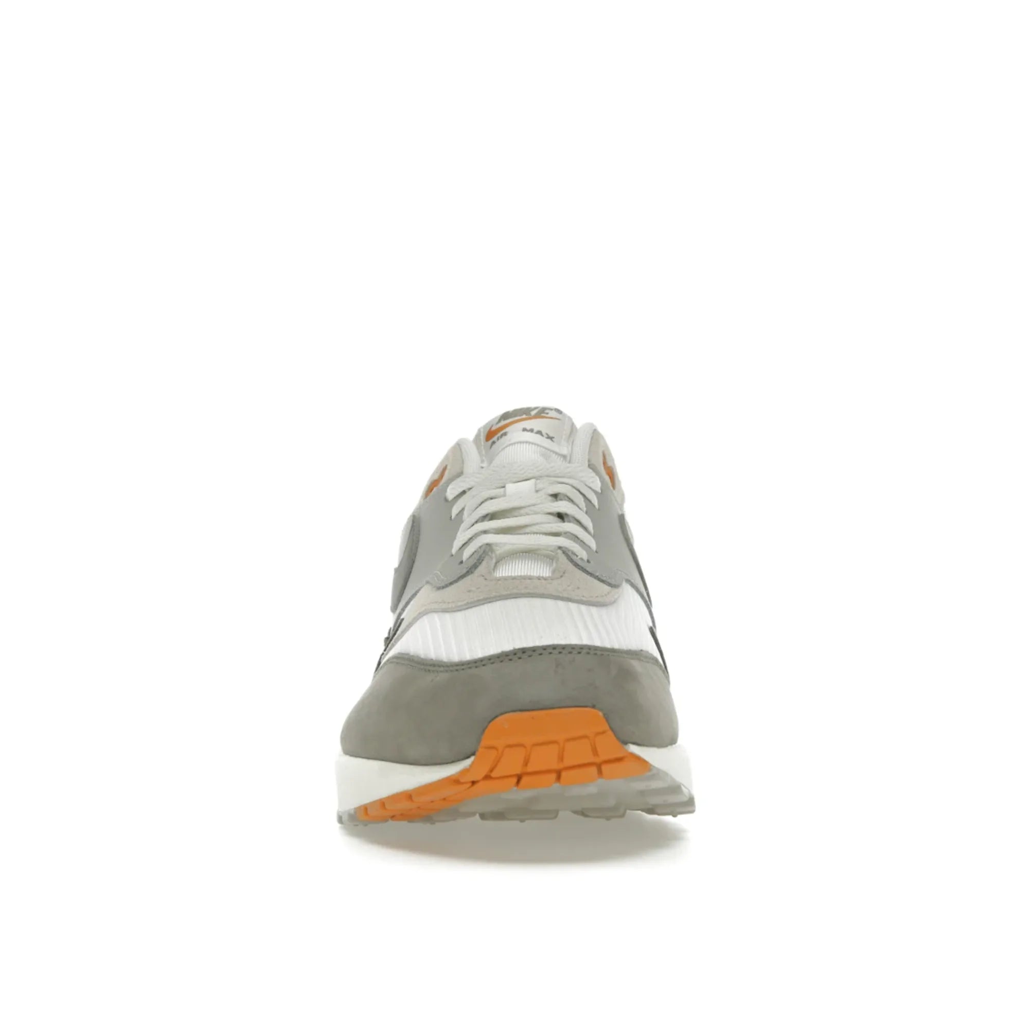 Nike Air Max 1 Light Iron Ore Flat Pewter
