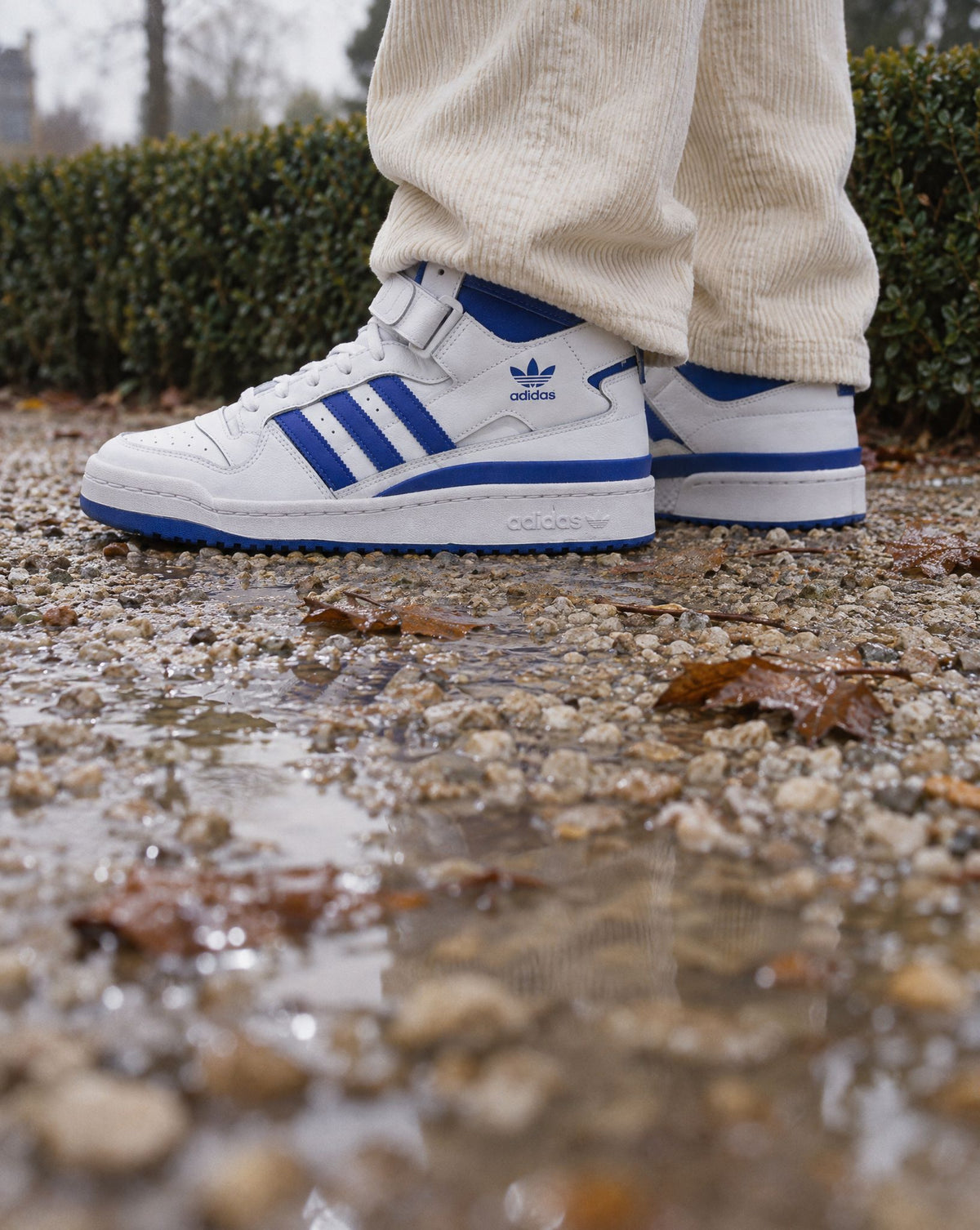 adidas Forum Mid White Royal - on-foot