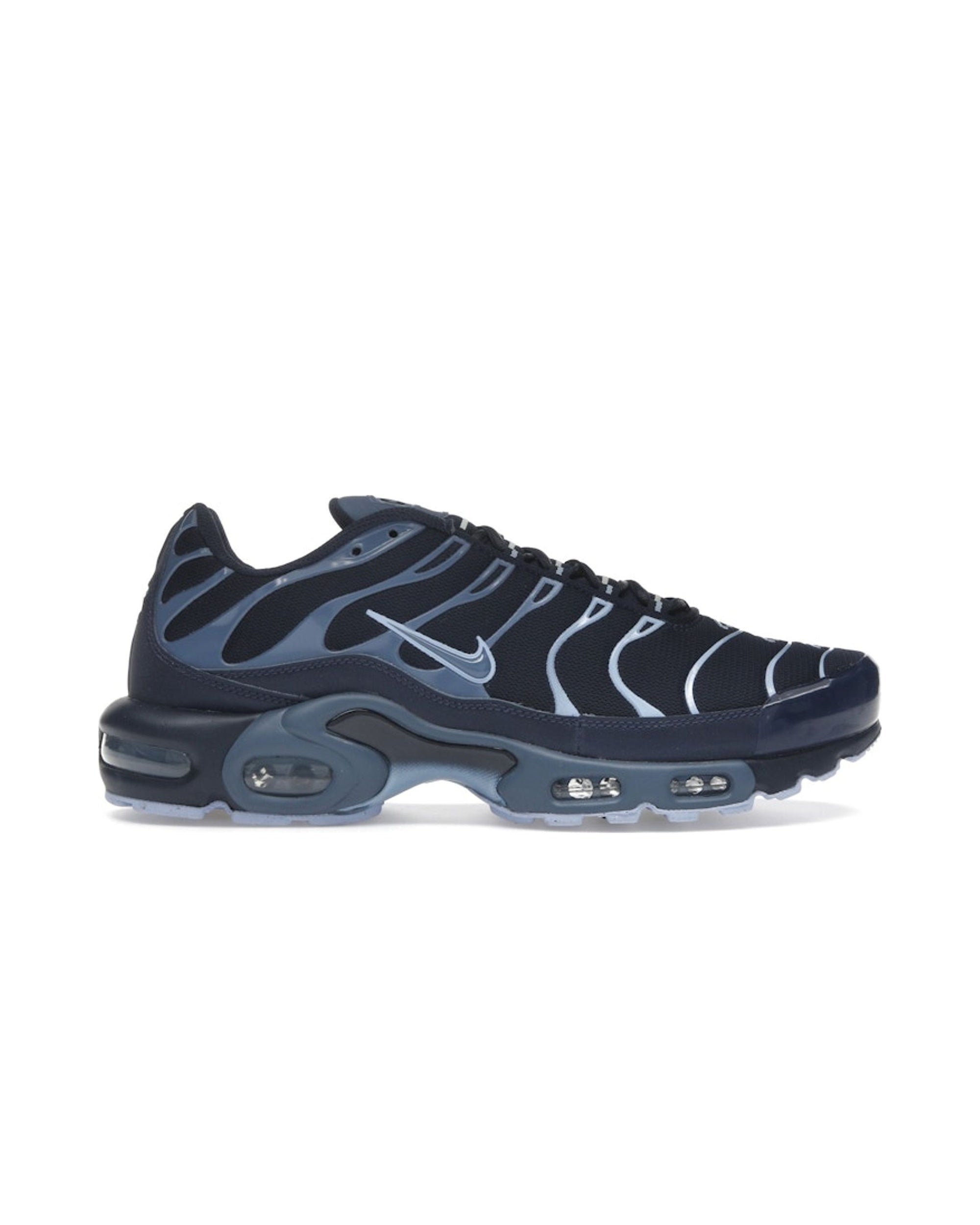 Nike Air Max Plus Obsidian Aluminum