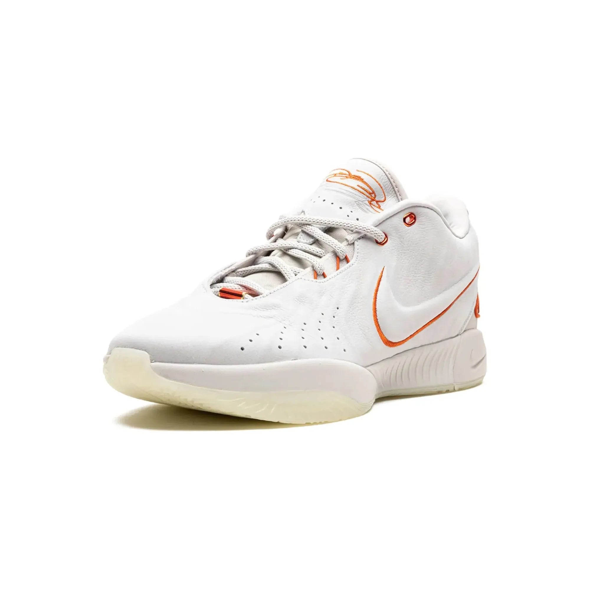 Nike LeBron 21 Akoya