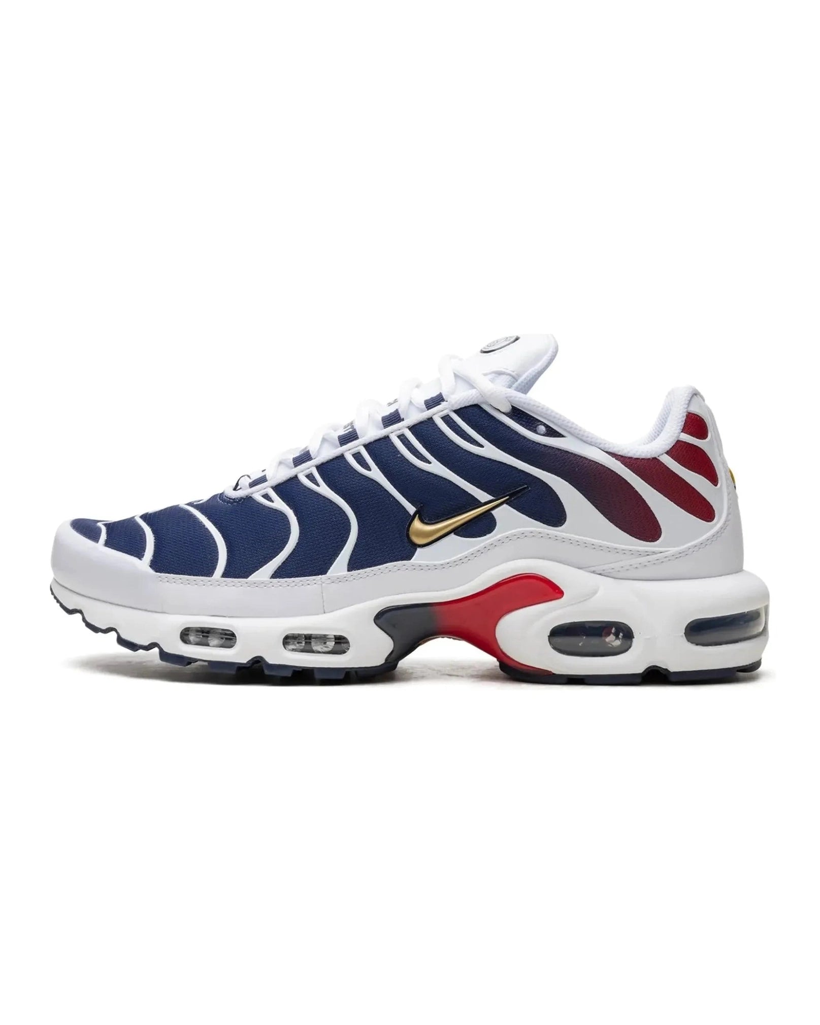 Nike Air Max Plus PSG