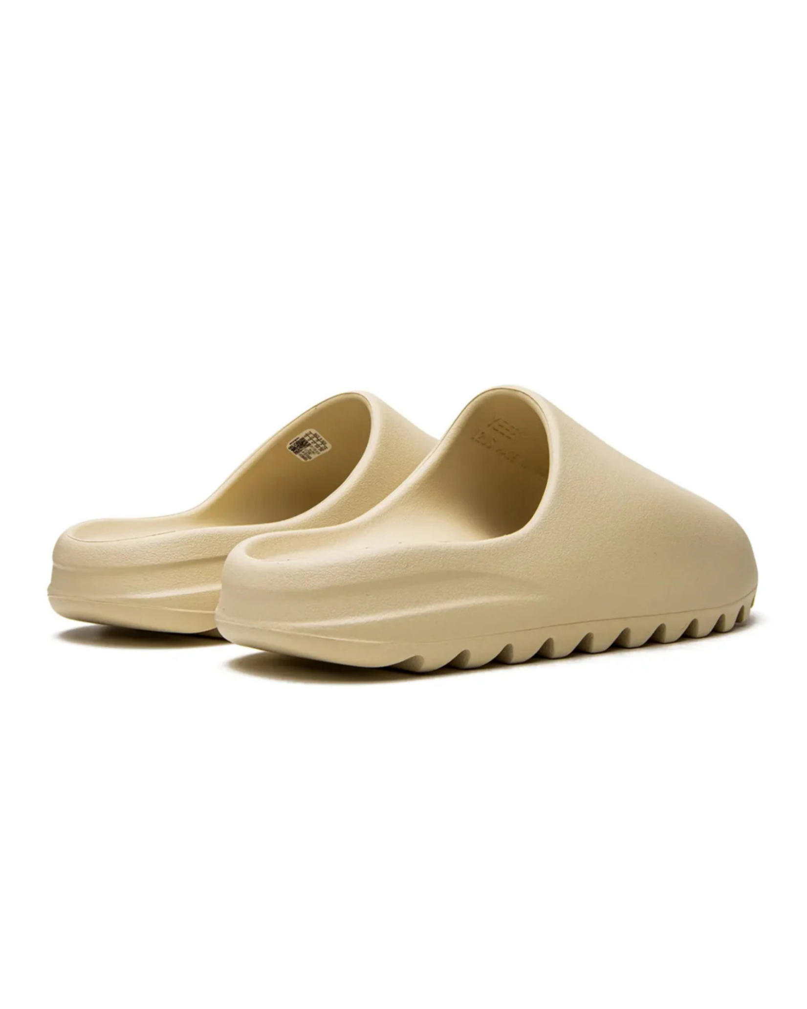 slides Bone 