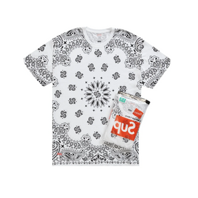 Supreme hanes t-shirt