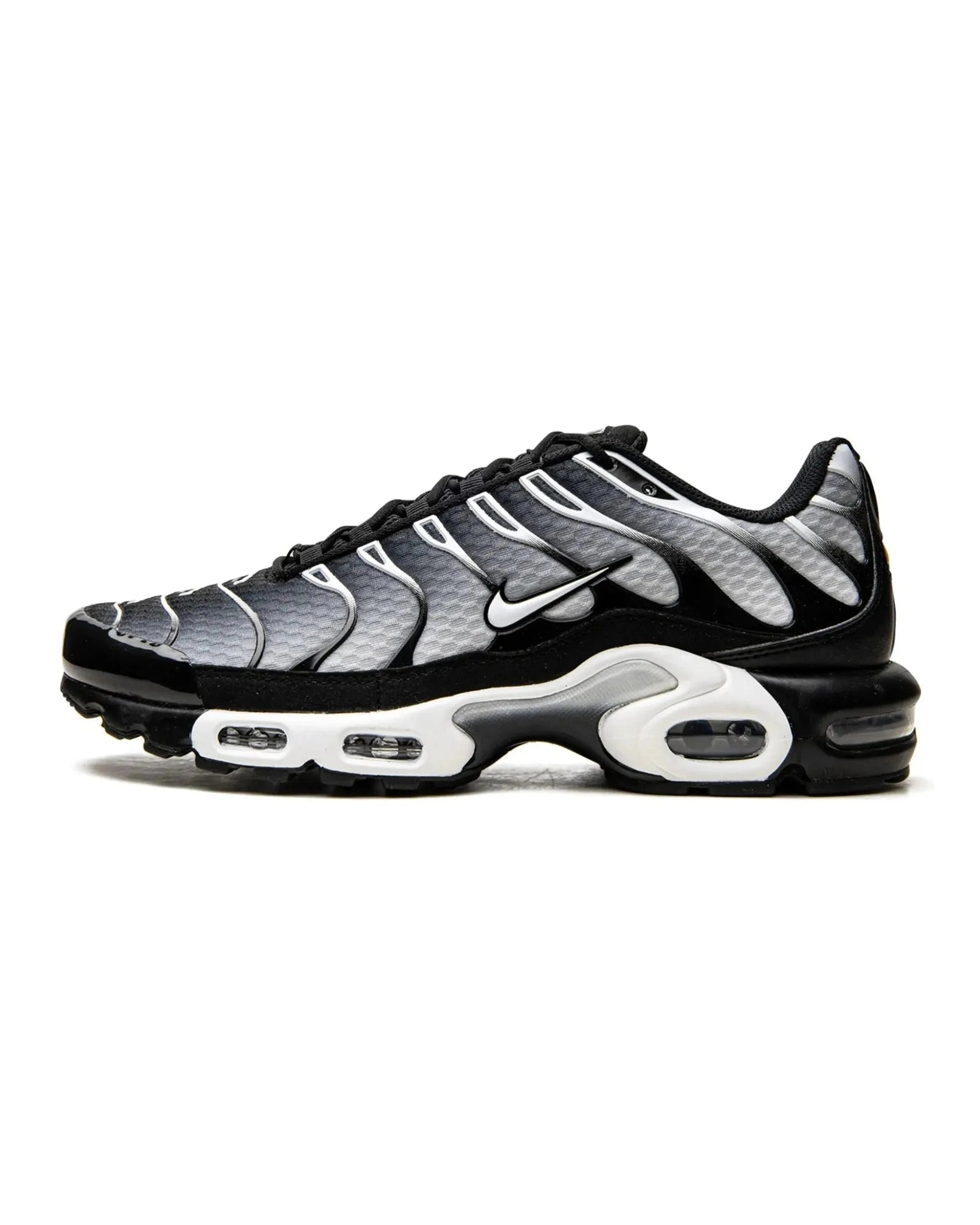 Nike Air Max Plus Black Silver White