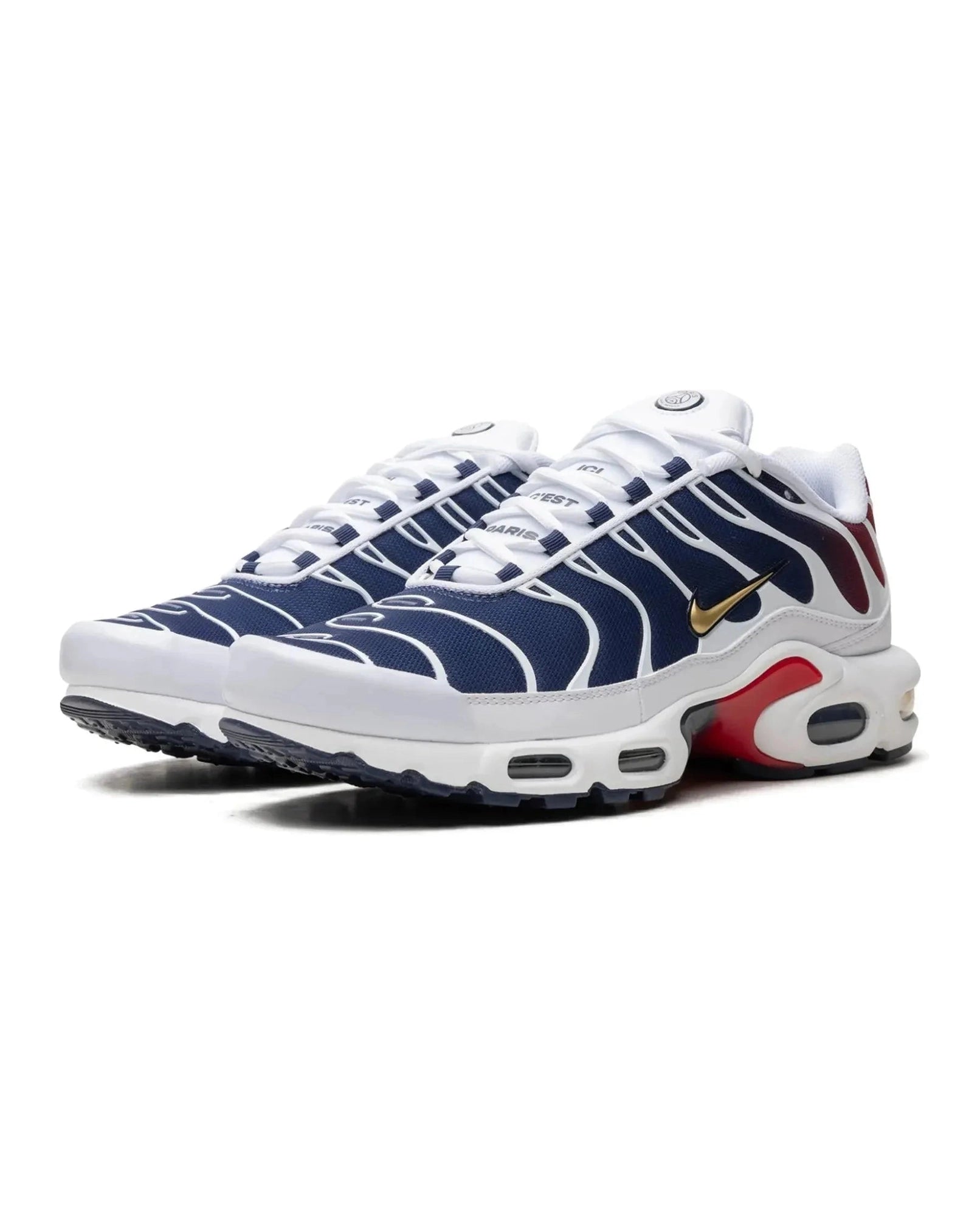Nike Air Max Plus PSG
