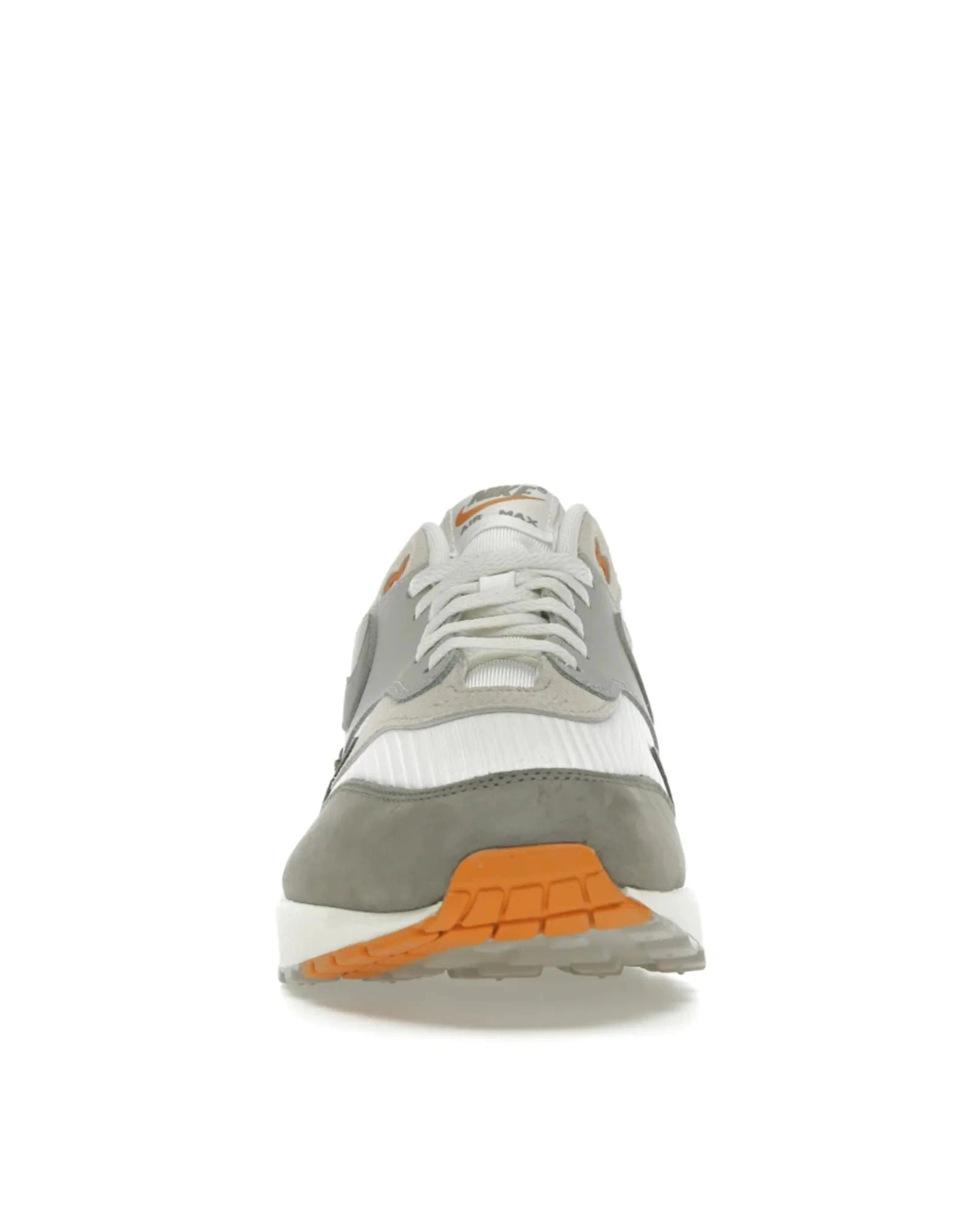 Nike Air Max 1 Light Iron Ore Flat Pewter