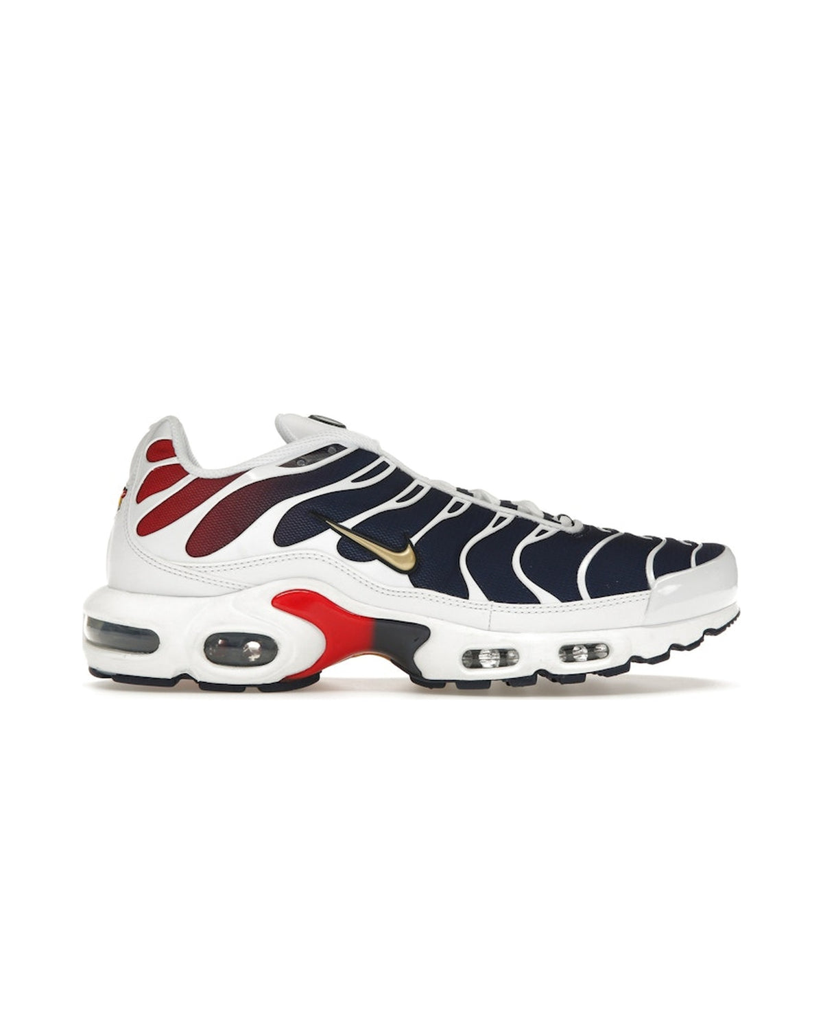 Nike Air Max Plus PSG