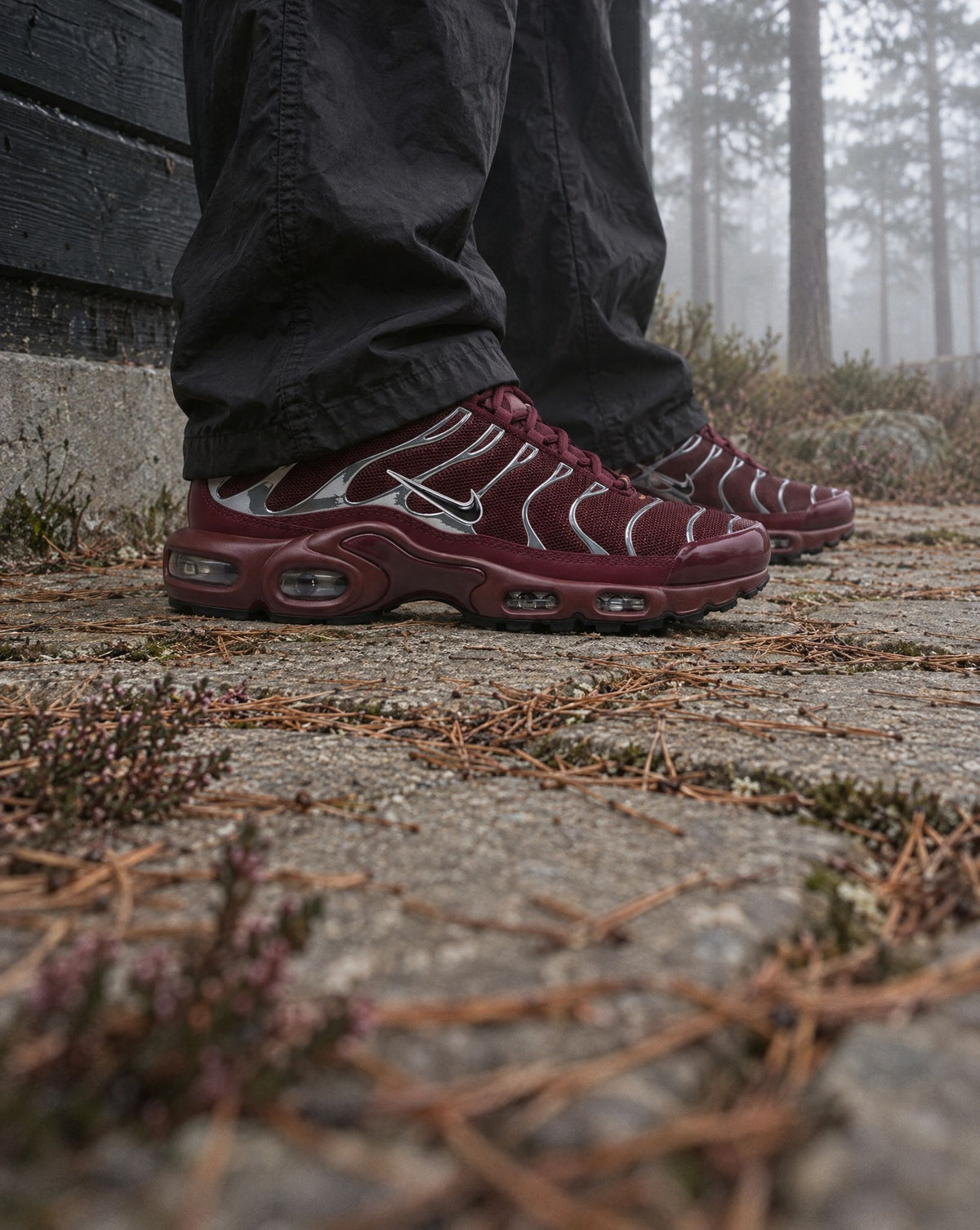 Nike Air Max Plus SE Night Maroon Metallic Silver (Women's) - on-foot