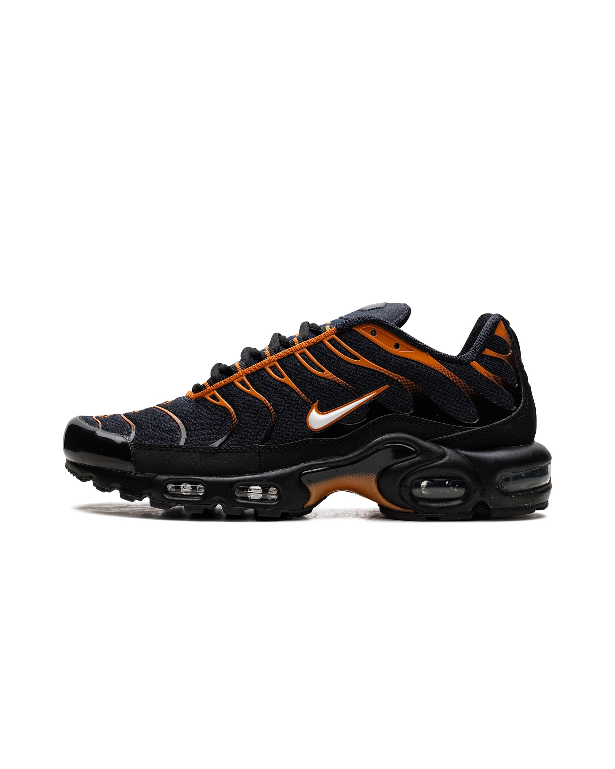 Nike Air Max Plus Dark Obsidian Monarch