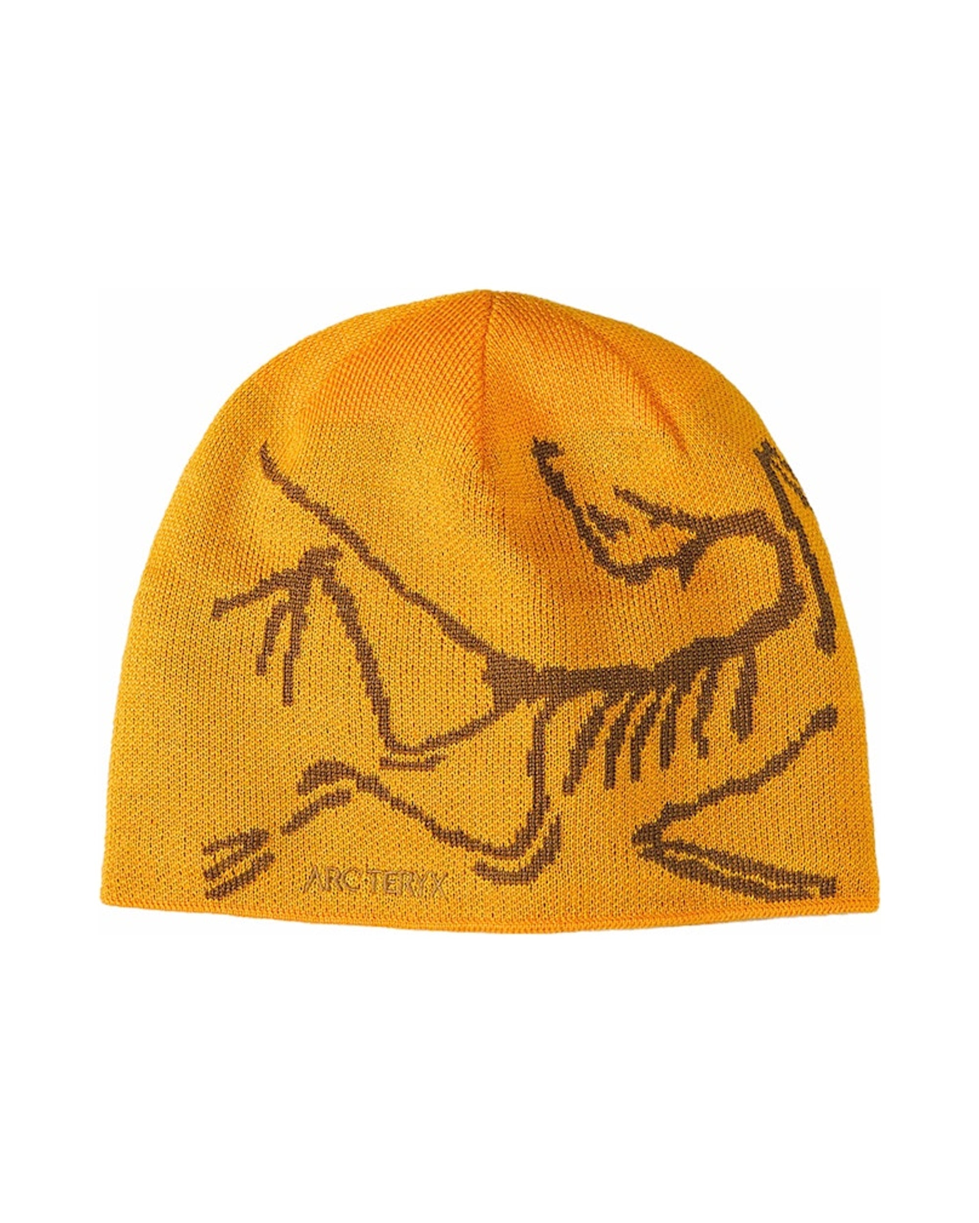 Arc'teryx Bird Head Toque Edziza/Relic