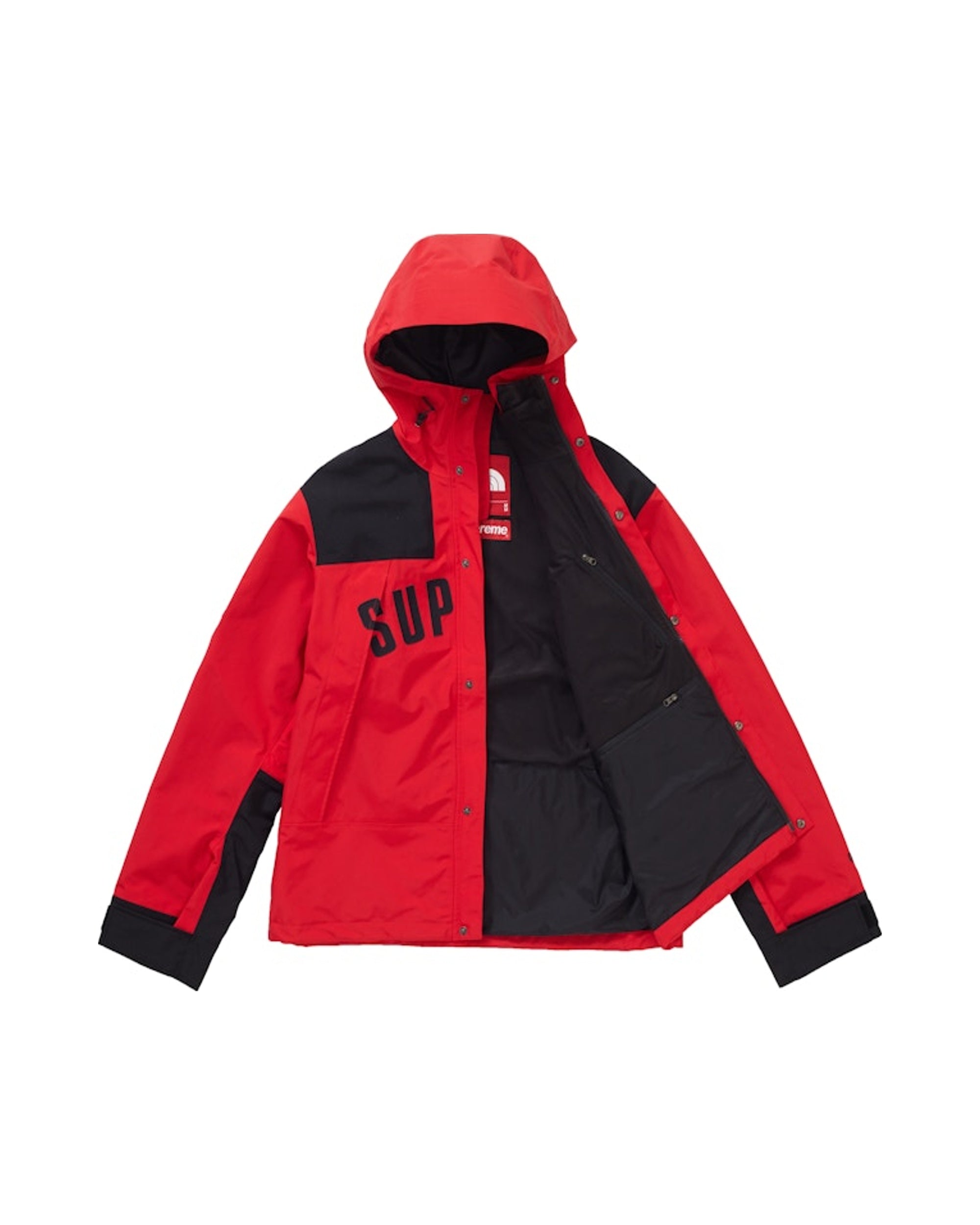 Supreme x The North Face Arc Logo Parka Red