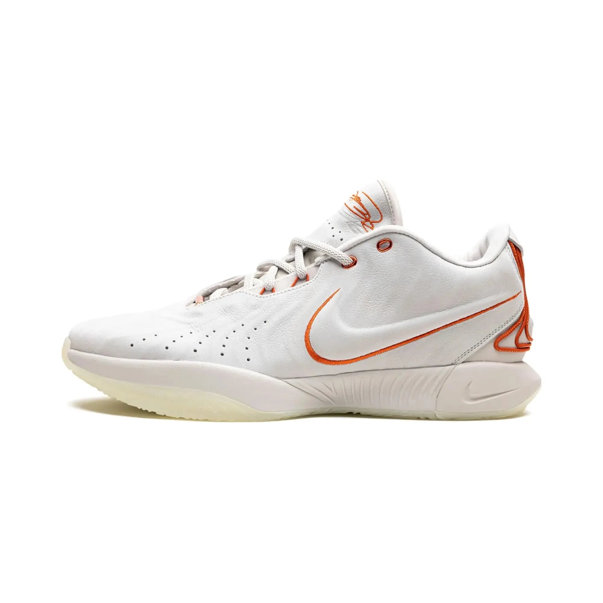 Nike LeBron 21 Akoya