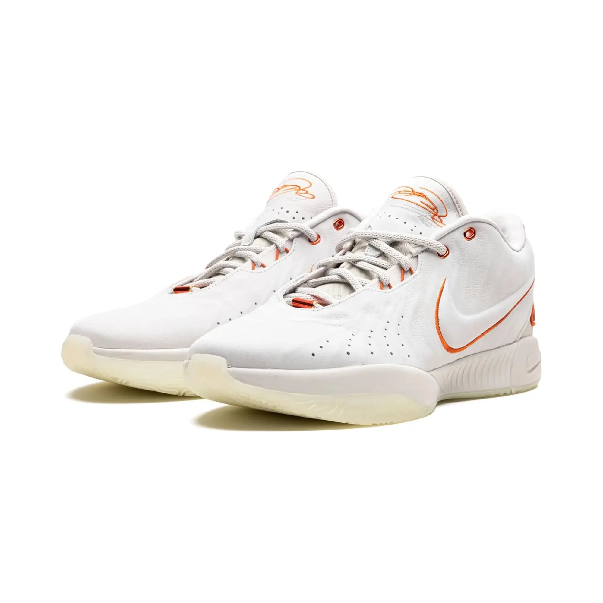 Nike LeBron 21 Akoya
